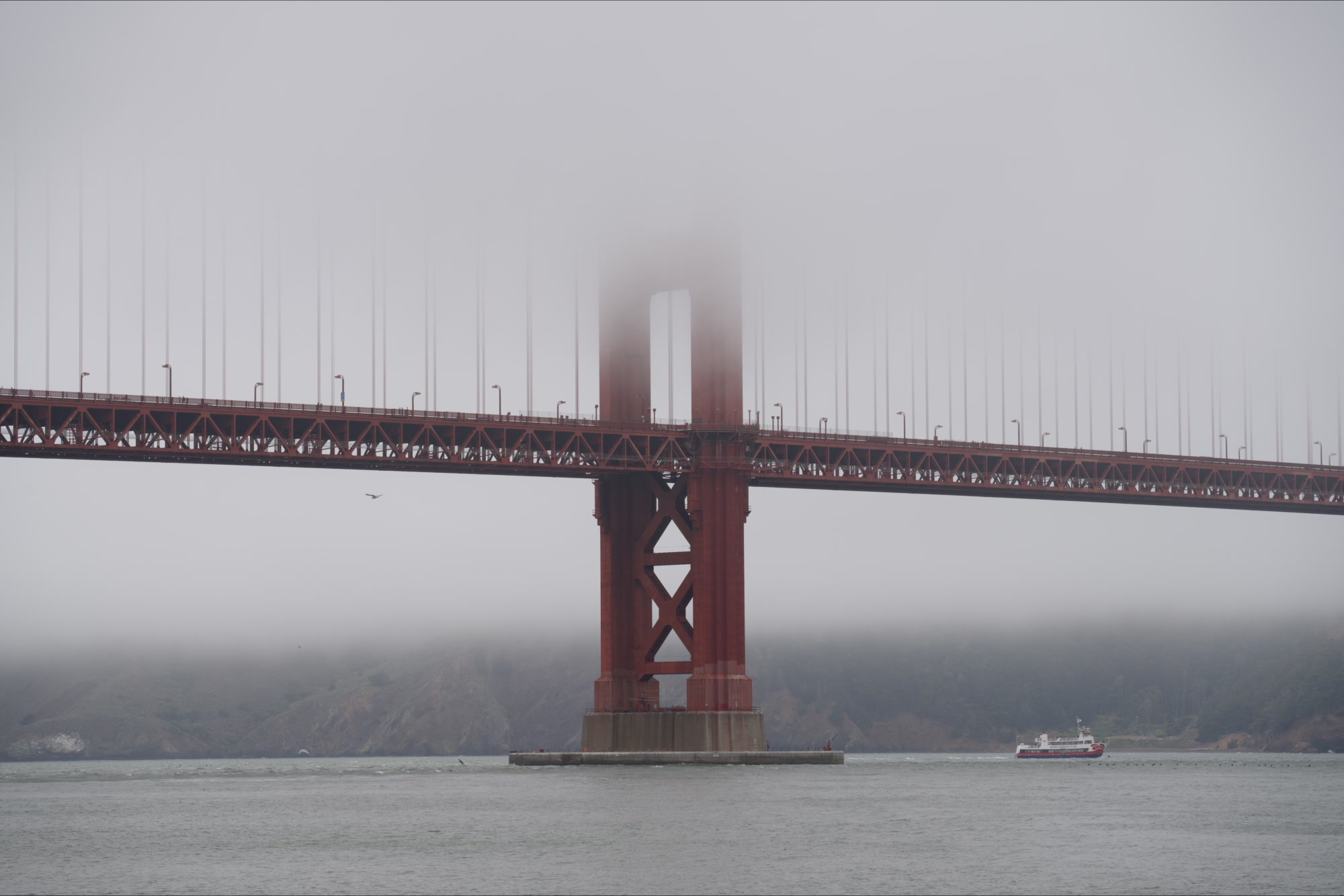 The Golden Gate Bridge shrouded in classic June fog