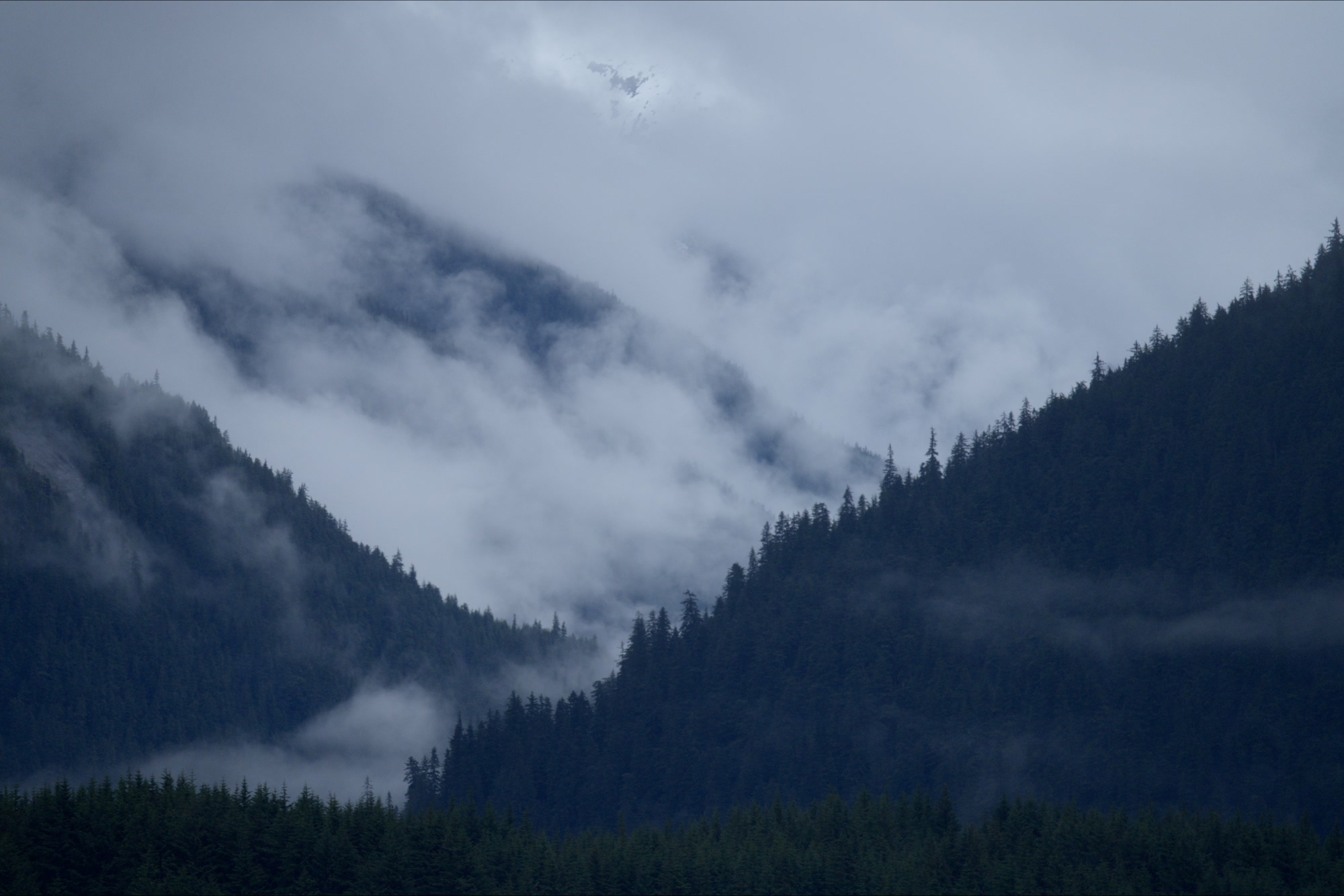 Fog rolling over the forests adjacent to the Lynn Canal, Alaska